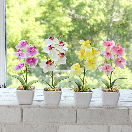 Creative Simulation Flower Phalaenopsis Bonsai