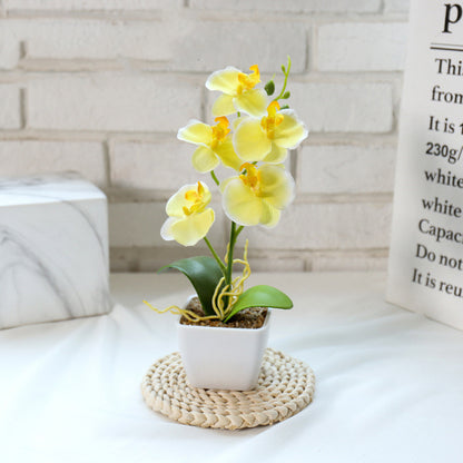 Creative Simulation Flower Phalaenopsis Bonsai