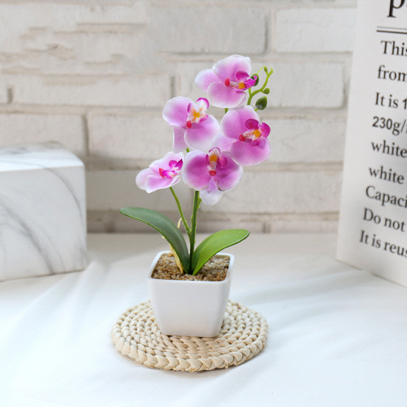 Creative Simulation Flower Phalaenopsis Bonsai