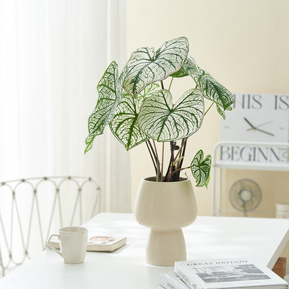 Minimalist Desktop Home Ceramic Flower Ware