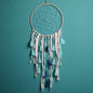 Bohemian tassel dream catcher