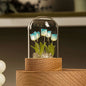 Tulip Small Night Lamp Handmade Desktop Decoration