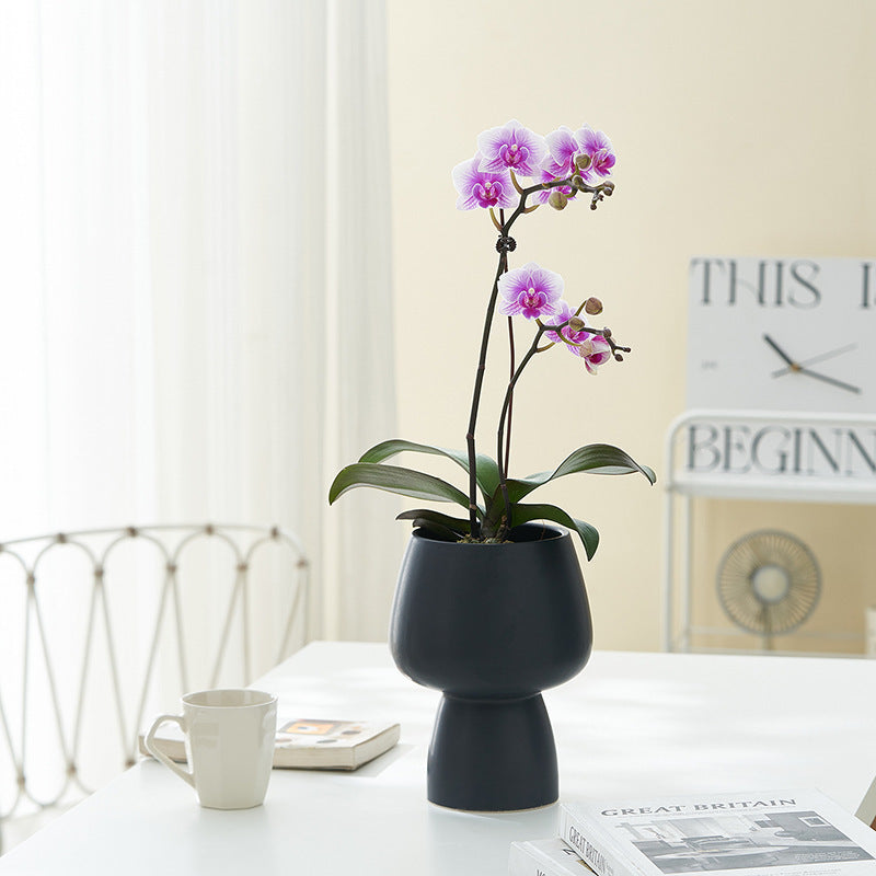 Minimalist Desktop Home Ceramic Flower Ware