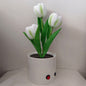 LED Tulip Night Light Simulation Flower Table Lamp