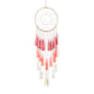 Bohemian tassel dream catcher