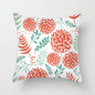 Plush Cushion Pillow Cover