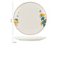 Dinner Plates Ceramic Steak Plate Web Porcelain