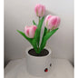 LED Tulip Night Light Simulation Flower Table Lamp